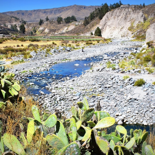 colca-1