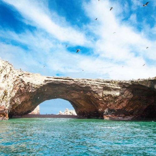 islas-ballestas-1