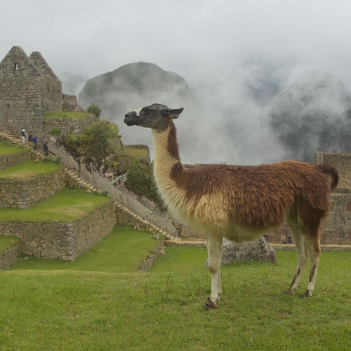 machu-picchu-4