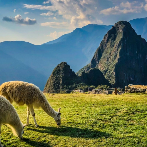 machu-picchu-6